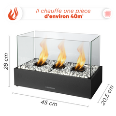 Cheminée Électrique Bioéthanol 1100W Décorative Flamme Réelle 45x20,5x28cm