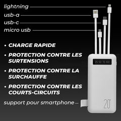 Power Bank 20000mAh Chargeur Rapide Portable avec 4 Câbles USB Inclus