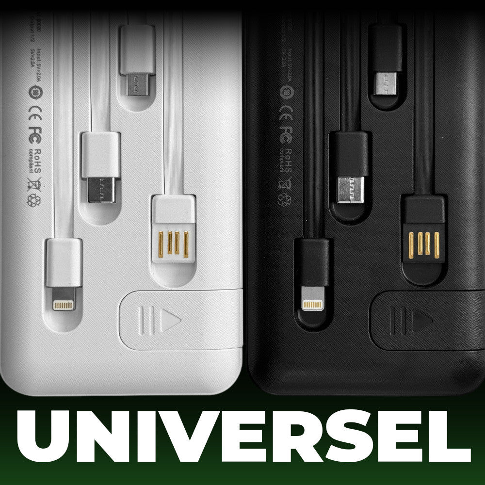 Power Bank 20000mAh Chargeur Rapide Portable avec 4 Câbles USB Inclus