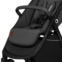 Poussette LIONELO INGRID 6-48 mois Pliable Dossier et repose-pieds réglables