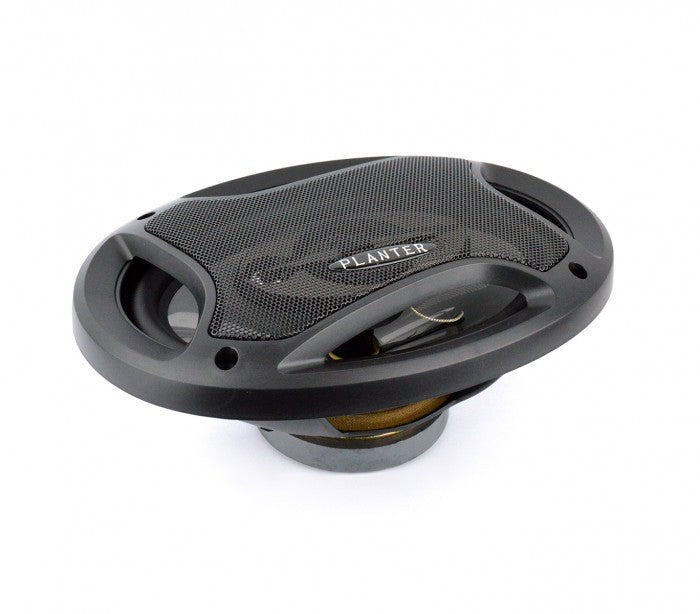 Paire de haut-parleurs 6x9 cm 1000W pour distribution de voiture