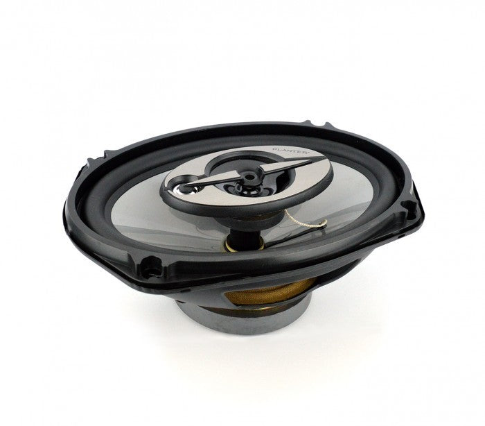 Paire de haut-parleurs 6x9 cm 1000W pour distribution de voiture