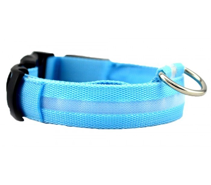 Collier réglable LED pour chiens et chats différentes tailles et couleurs