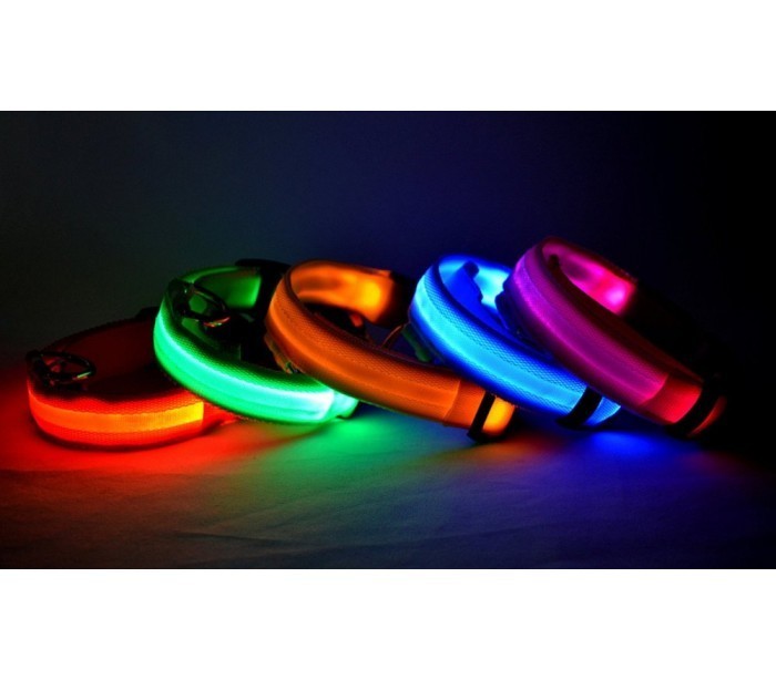Collier réglable LED pour chiens et chats différentes tailles et couleurs
