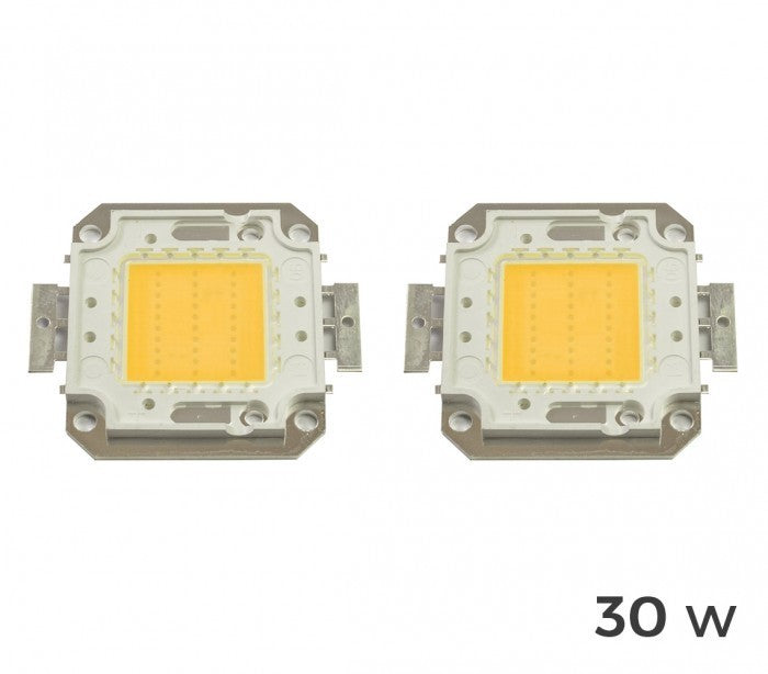 Pack de 2 plaques de LED de rechange 10-20-30-50 ou 100 watt