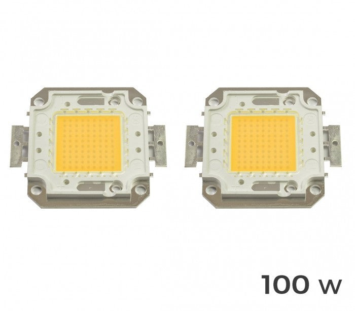 Pack de 2 plaques de LED de rechange 10-20-30-50 ou 100 watt